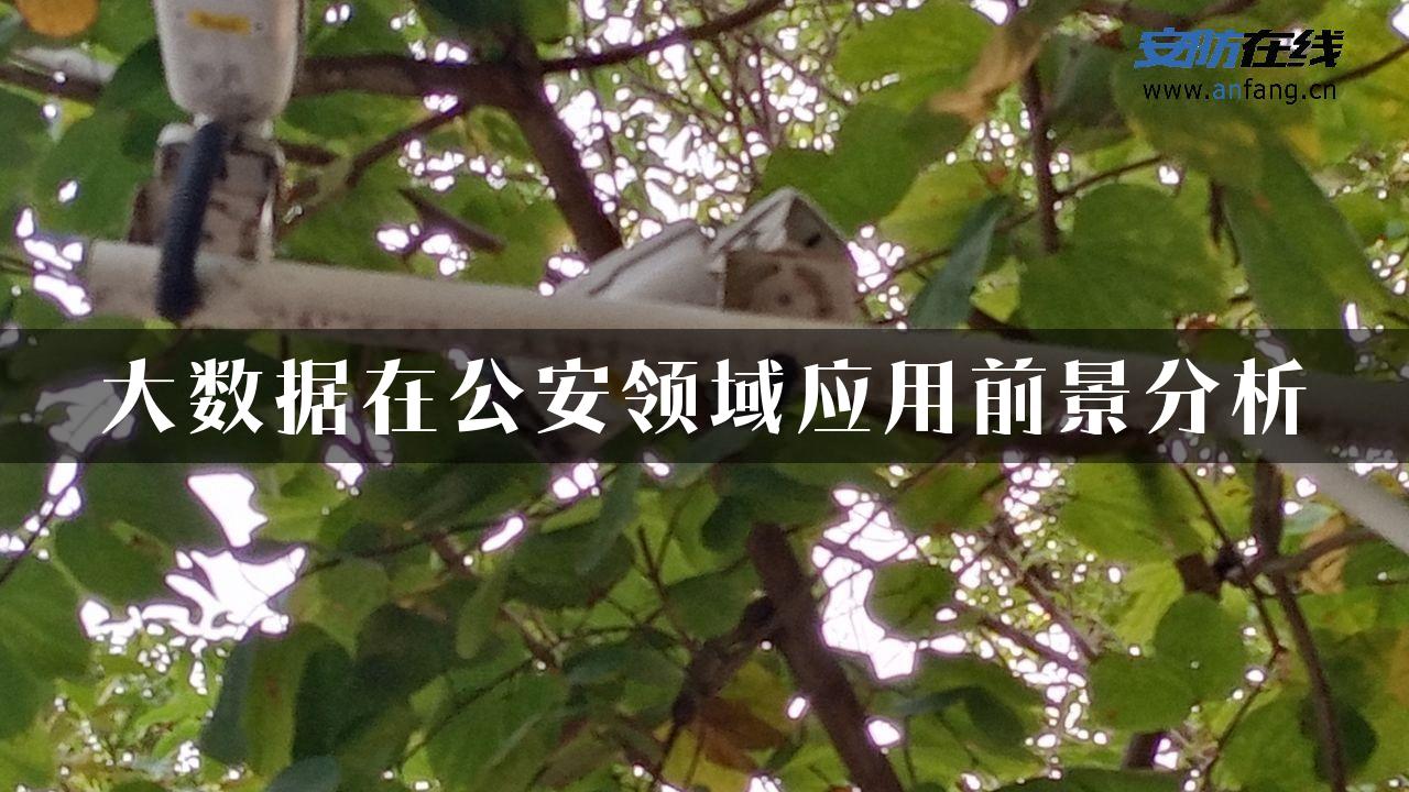 大数据在公安领域应用前景分析