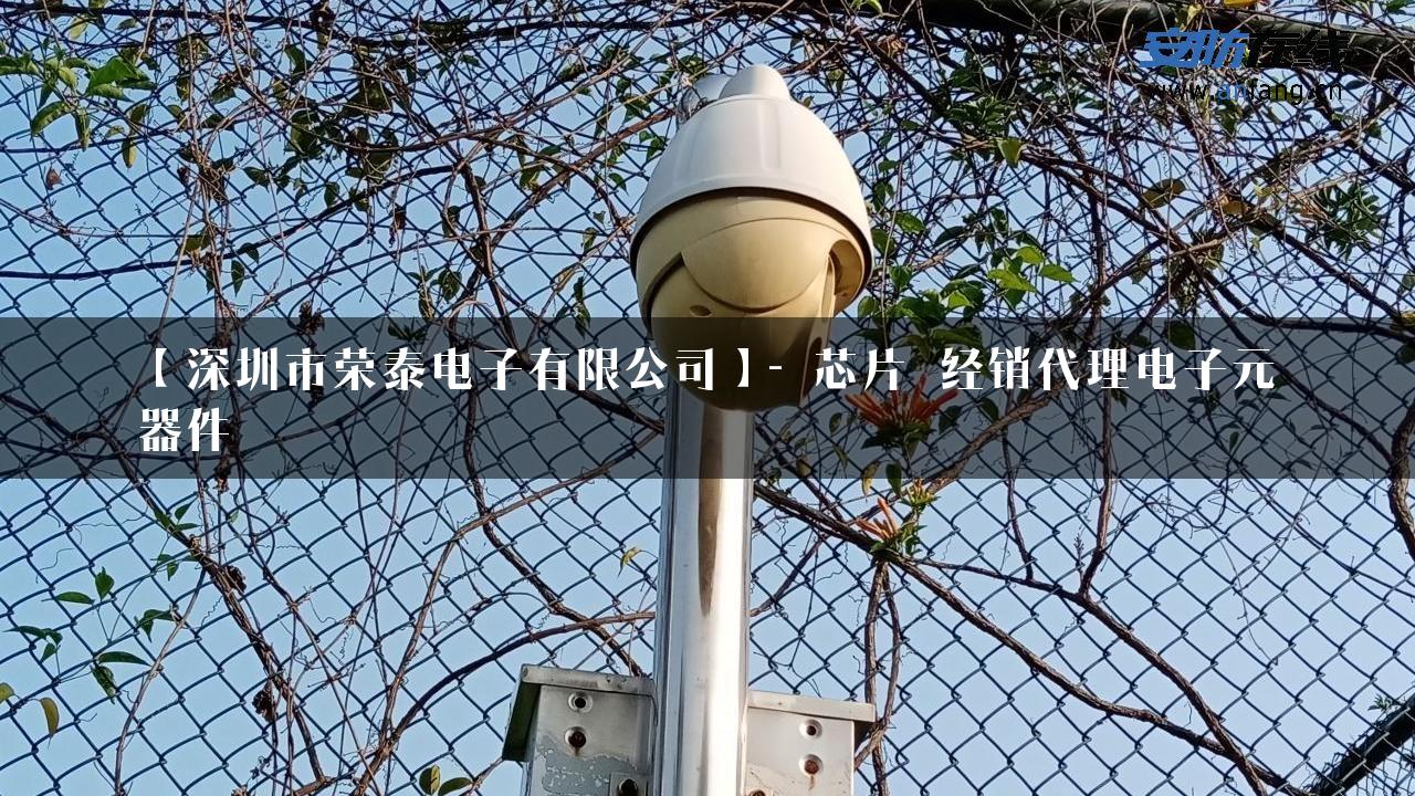 【深圳市荣泰电子有限公司】- 芯片_经销代理电子元器件