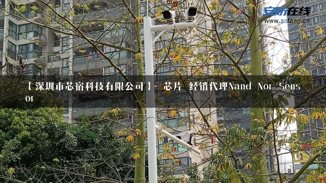 【深圳市芯宿科技有限公司】- 芯片_经销代理Nand_Nor_Sensor