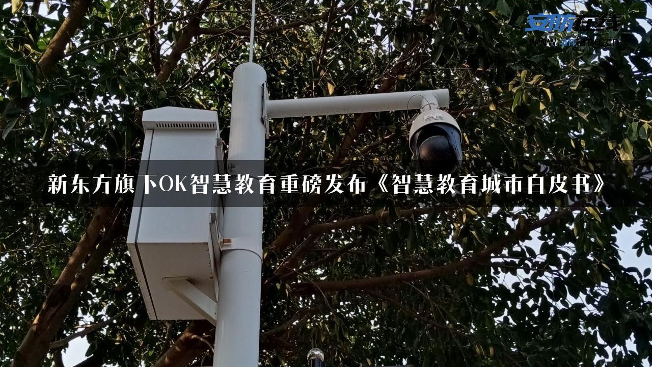 新东方旗下OK智慧教育重磅发布《智慧教育城市白皮书》