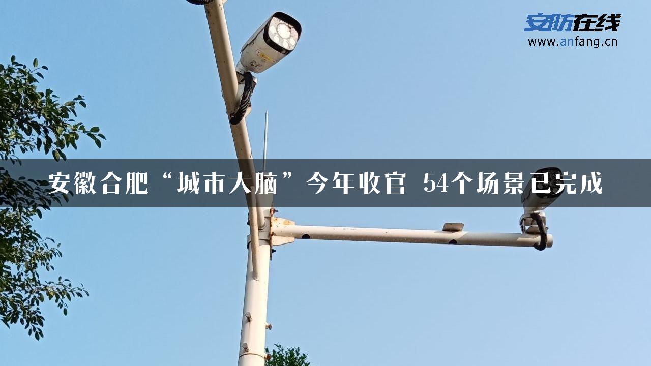 安徽合肥“城市大脑”今年收官 54个场景已完成