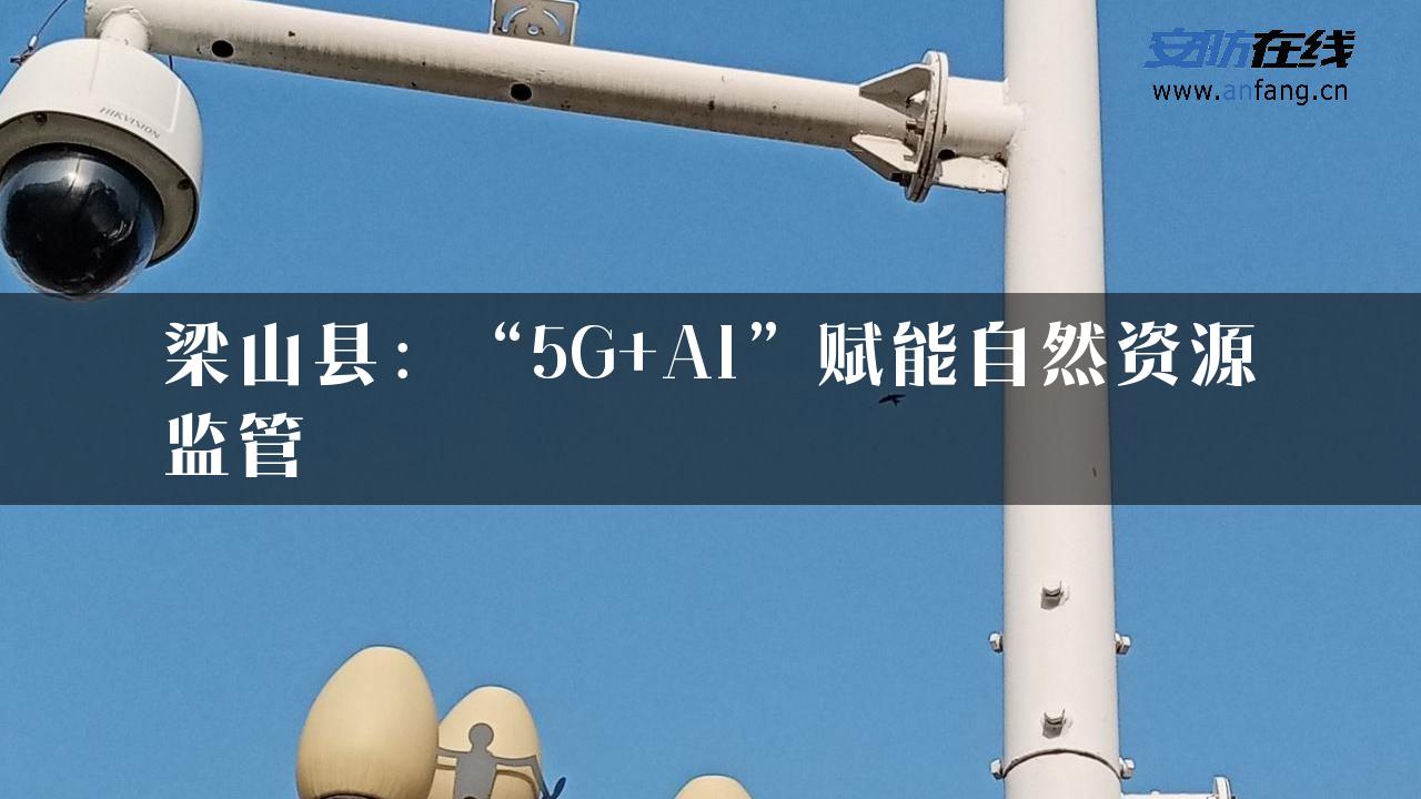 梁山县：“5G+AI”赋能自然资源监管