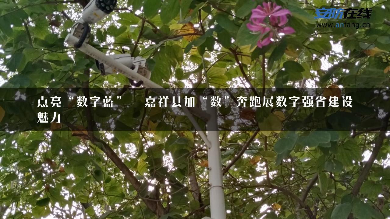 点亮“数字蓝”  嘉祥县加“数”奔跑展数字强省建设魅力