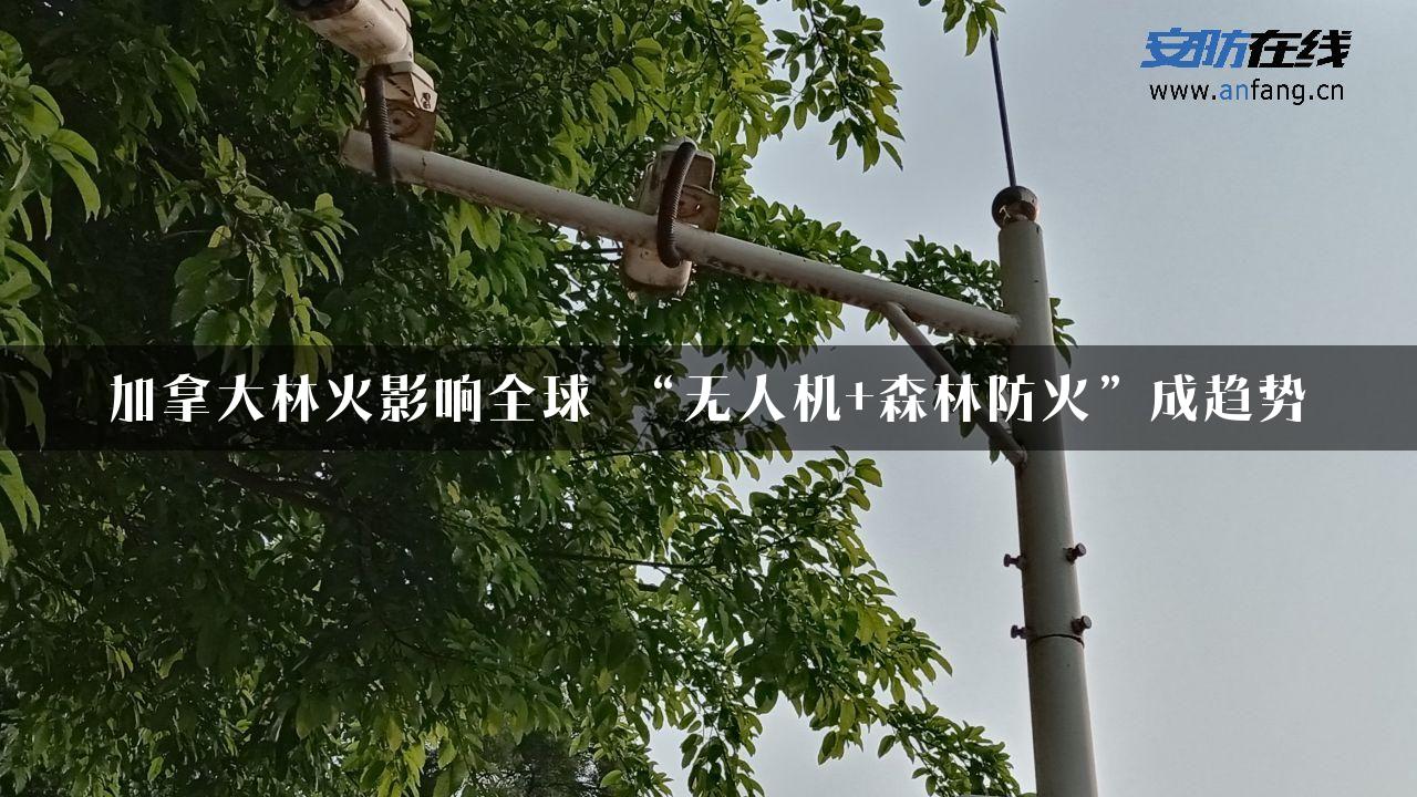 加拿大林火影响全球 “无人机+森林防火”成趋势