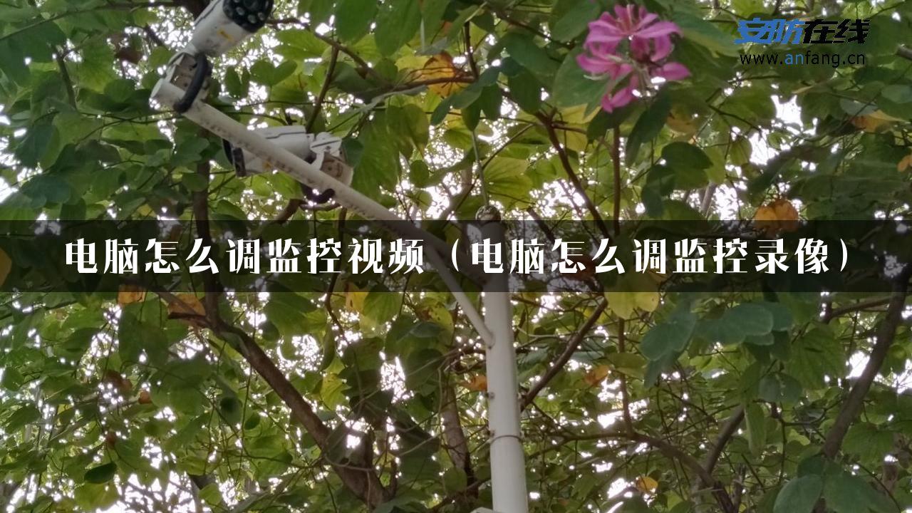 电脑怎么调监控视频（电脑怎么调监控录像）