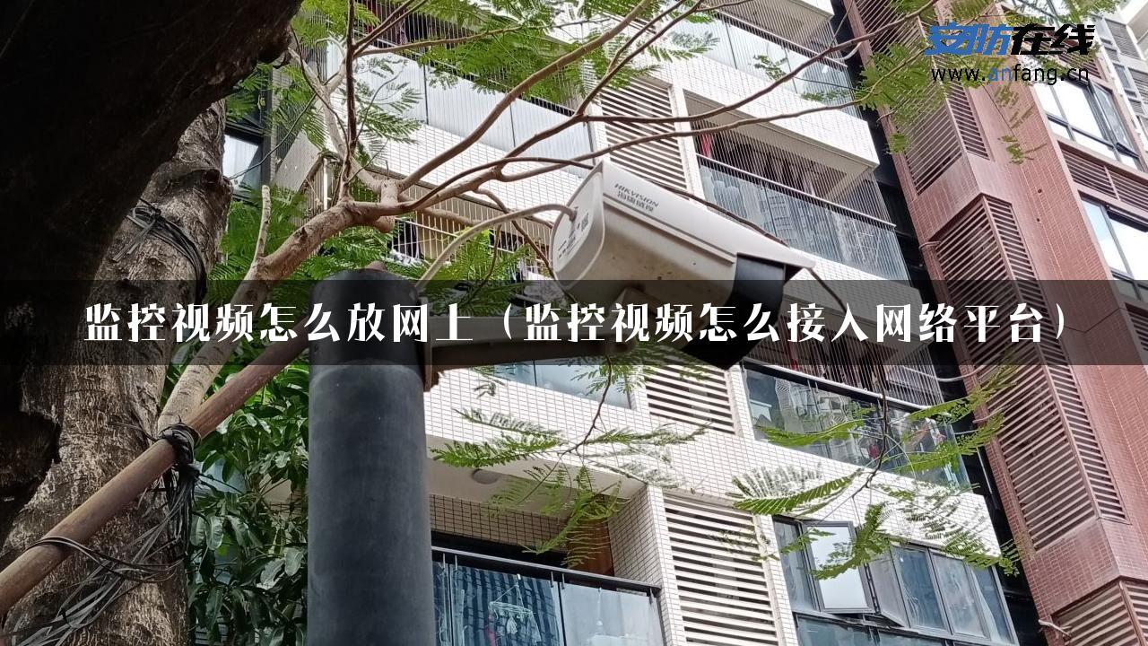 监控视频怎么放网上（监控视频怎么接入网络平台）