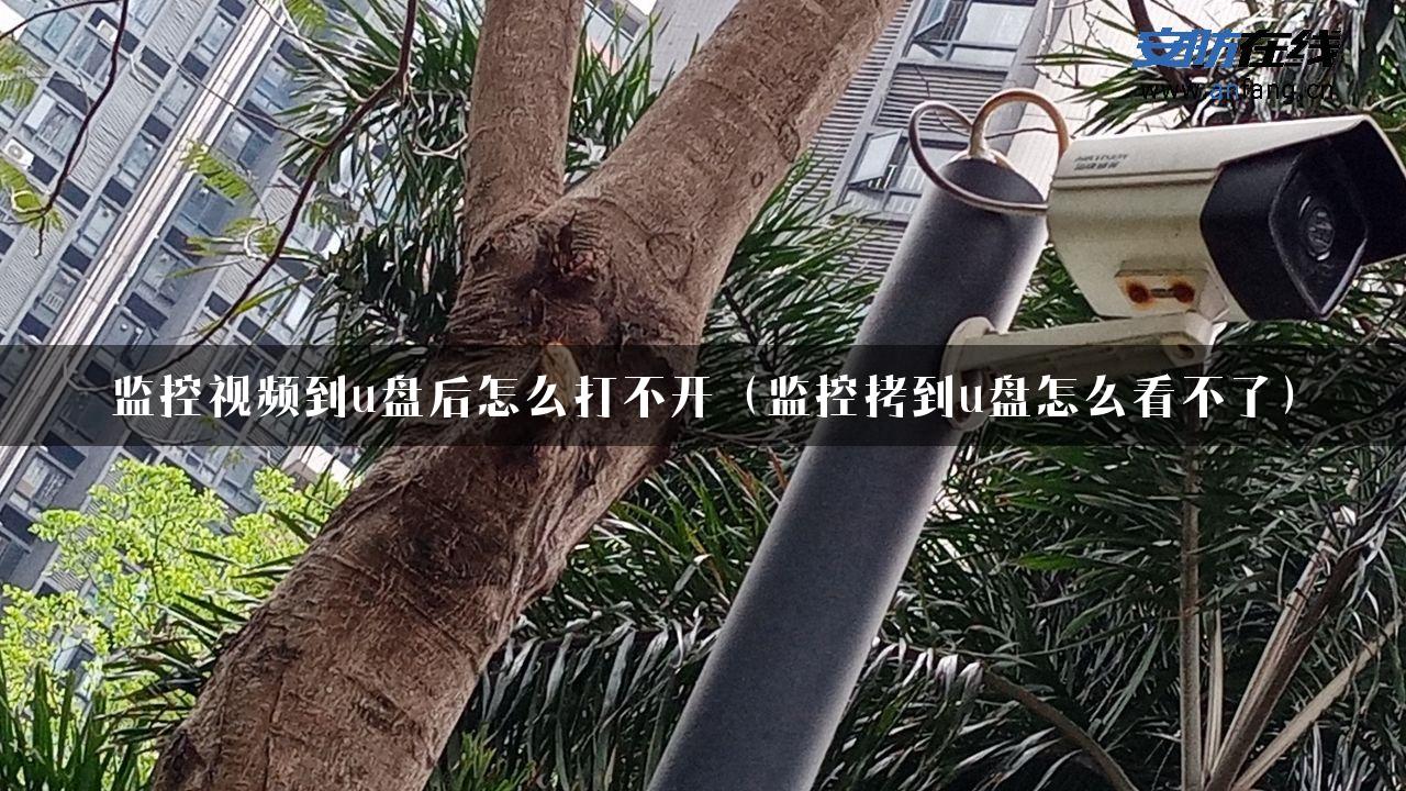 监控视频到u盘后怎么打不开（监控拷到u盘怎么看不了）