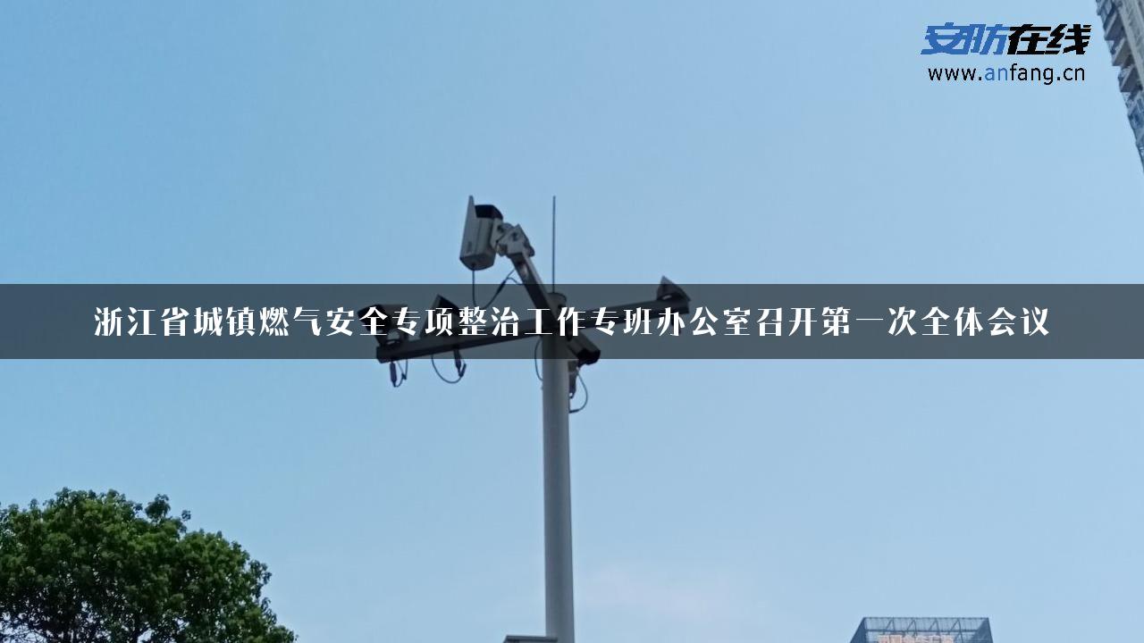 浙江省城镇燃气安全专项整治工作专班办公室召开第一次全体会议