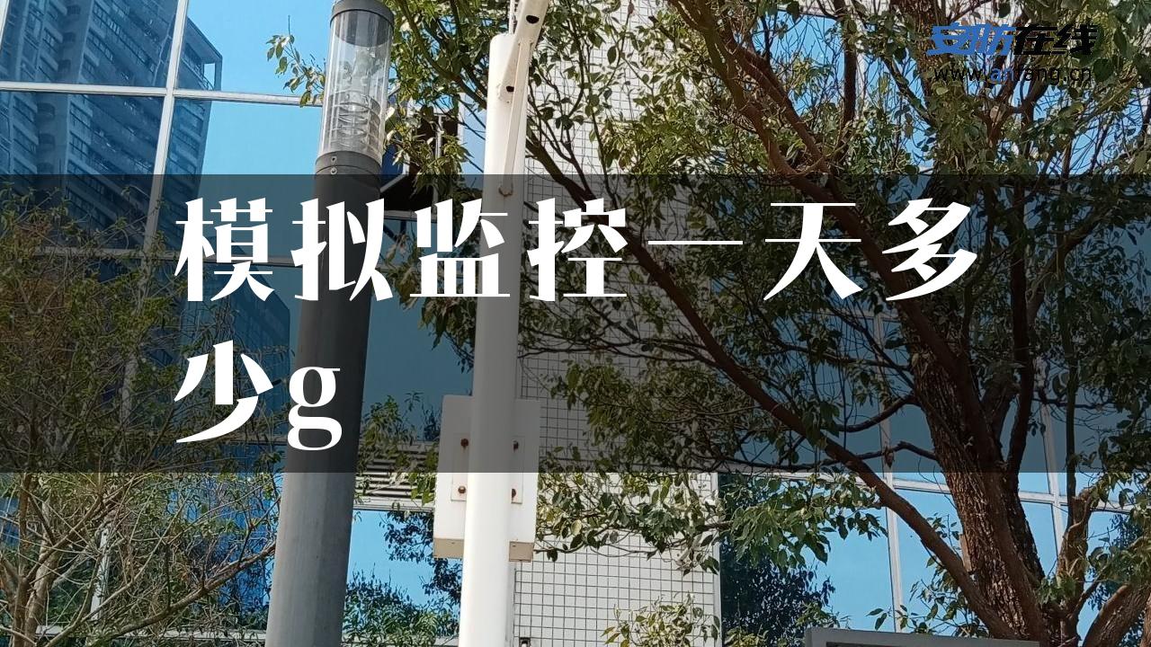 模拟监控一天多少g