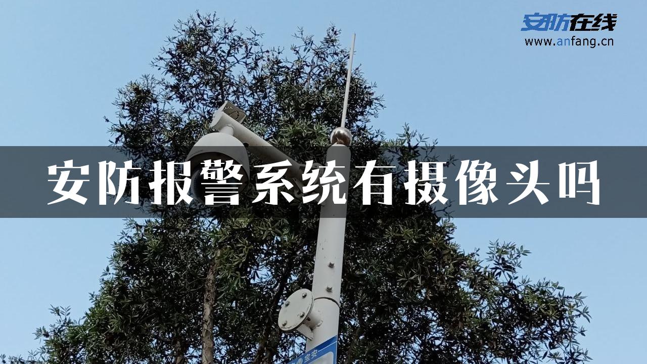 安防报警系统有摄像头吗