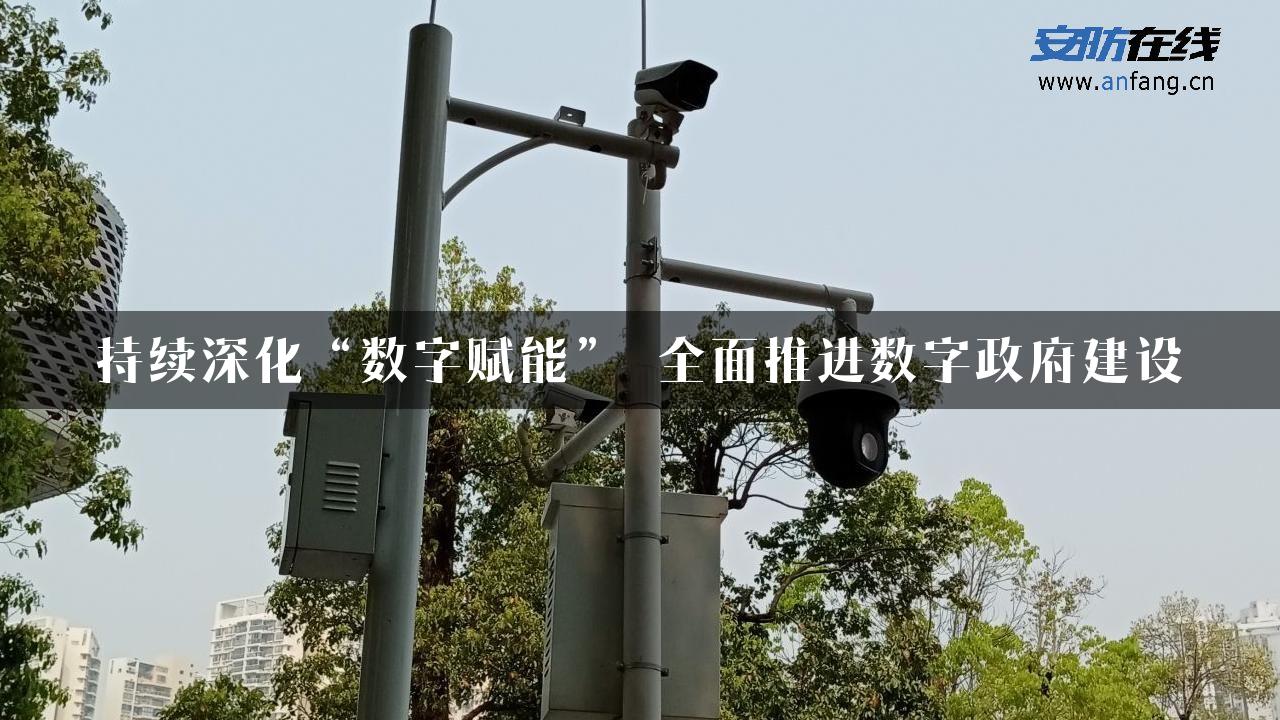 持续深化“数字赋能” 全面推进数字政府建设