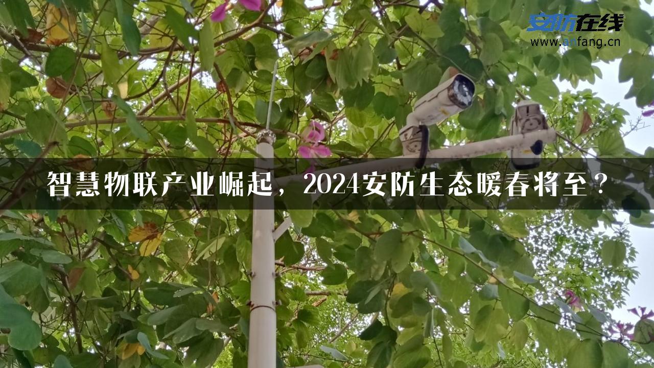 智慧物联产业崛起，2024安防生态暖春将至？