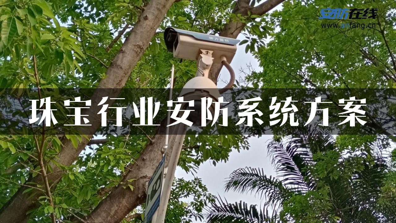 珠宝行业安防系统方案