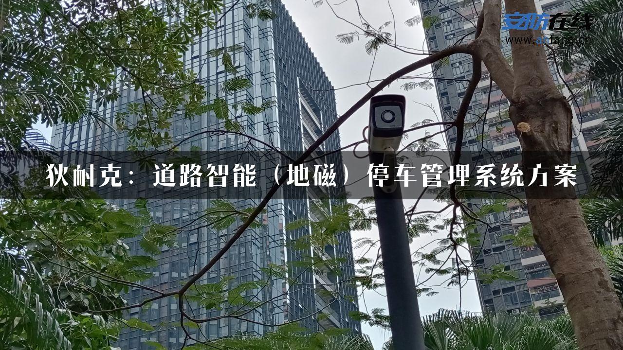 狄耐克：道路智能（地磁）停车管理系统方案