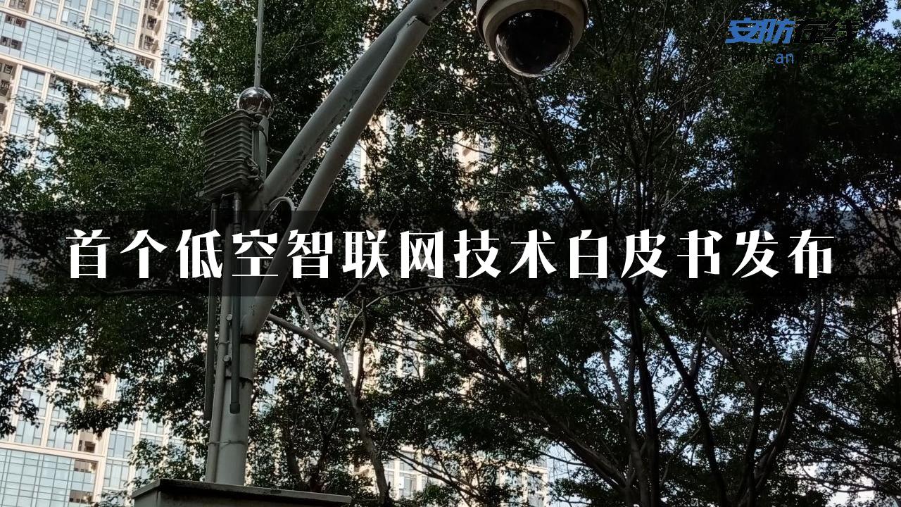 首个低空智联网技术白皮书发布