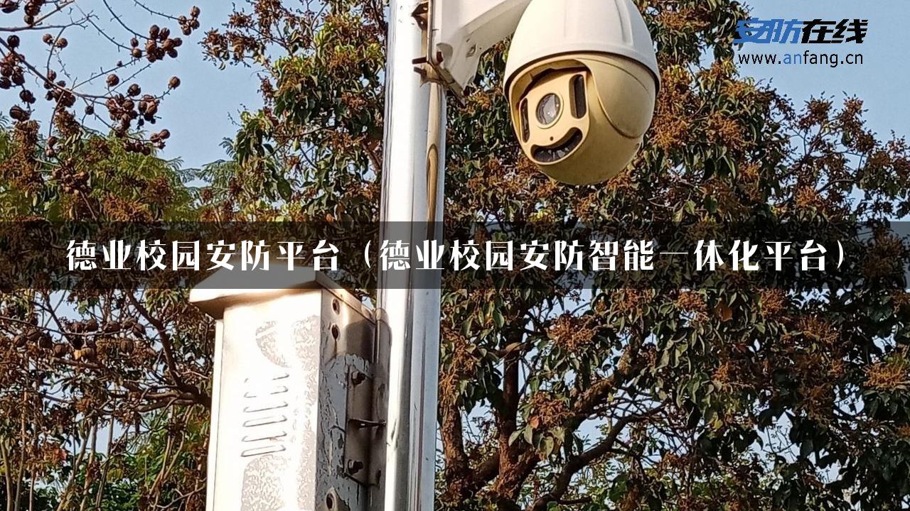 德业校园安防平台（德业校园安防智能一体化平台）