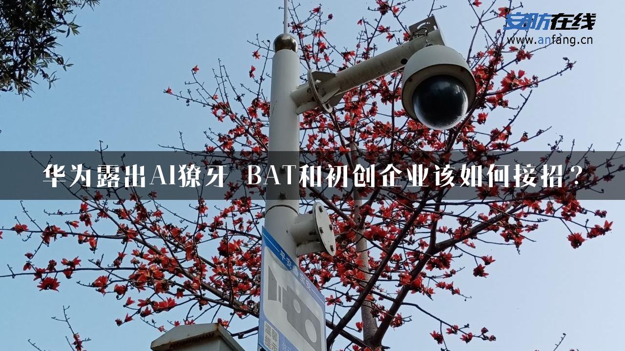 华为露出AI獠牙 BAT和初创企业该如何接招？