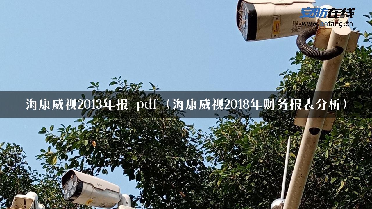 海康威视2013年报 pdf（海康威视2018年财务报表分析）