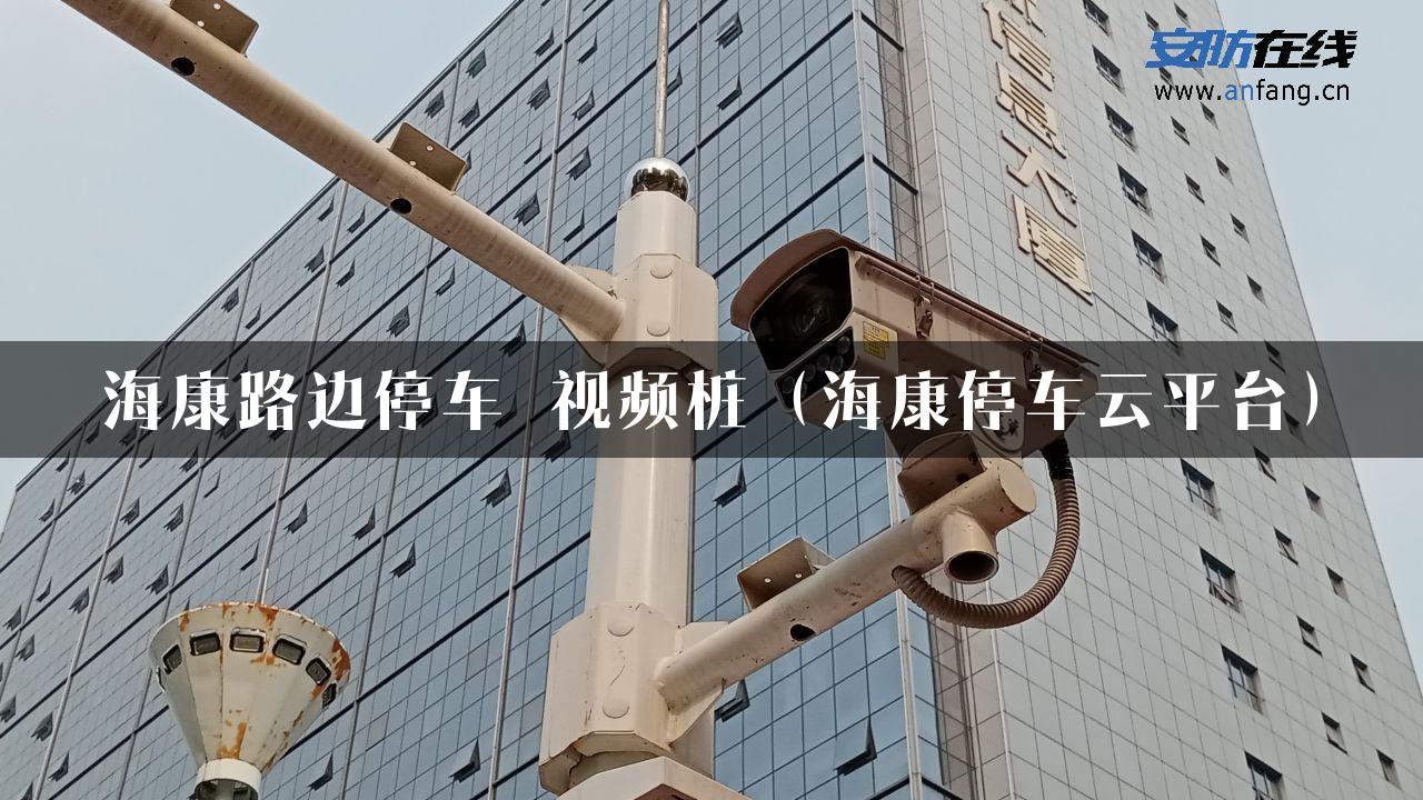 海康路边停车 视频桩（海康停车云平台）