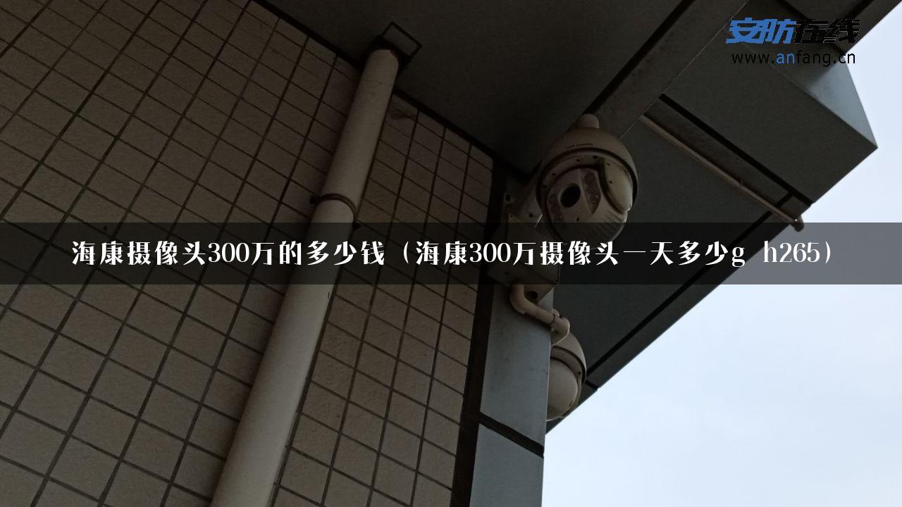 海康摄像头300万的多少钱（海康300万摄像头一天多少g h265）