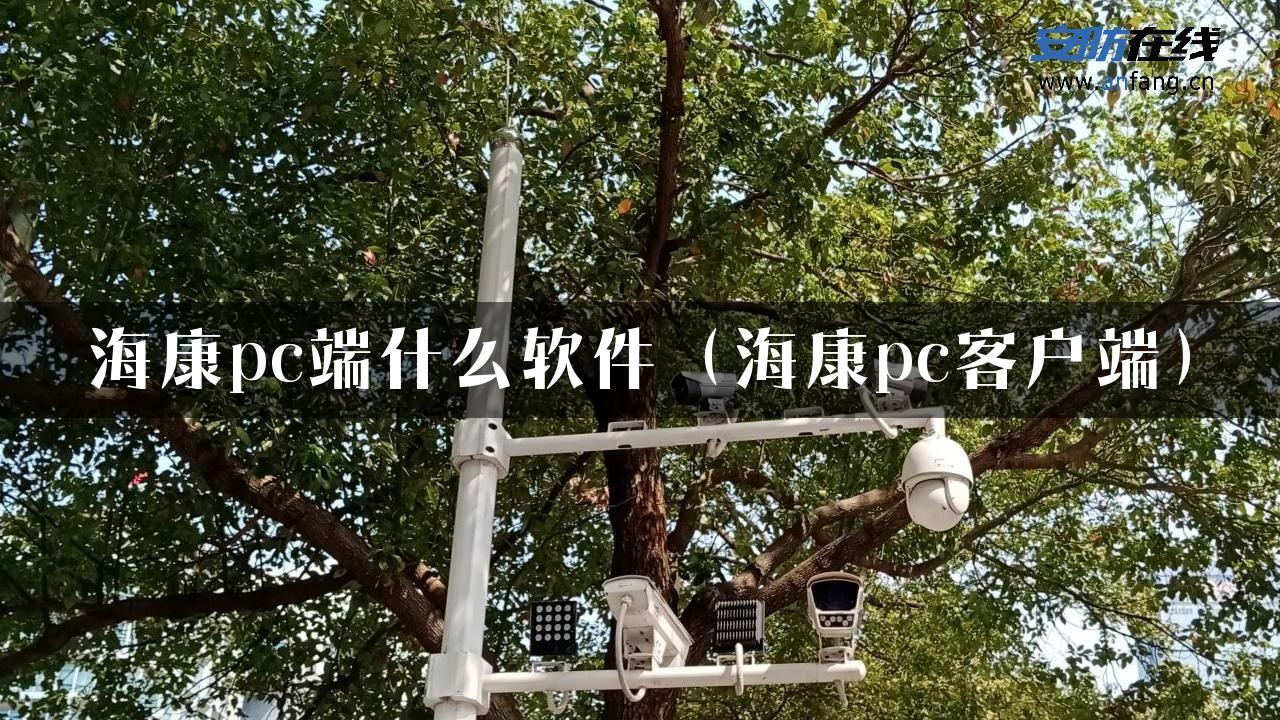 海康pc端什么软件（海康pc客户端）