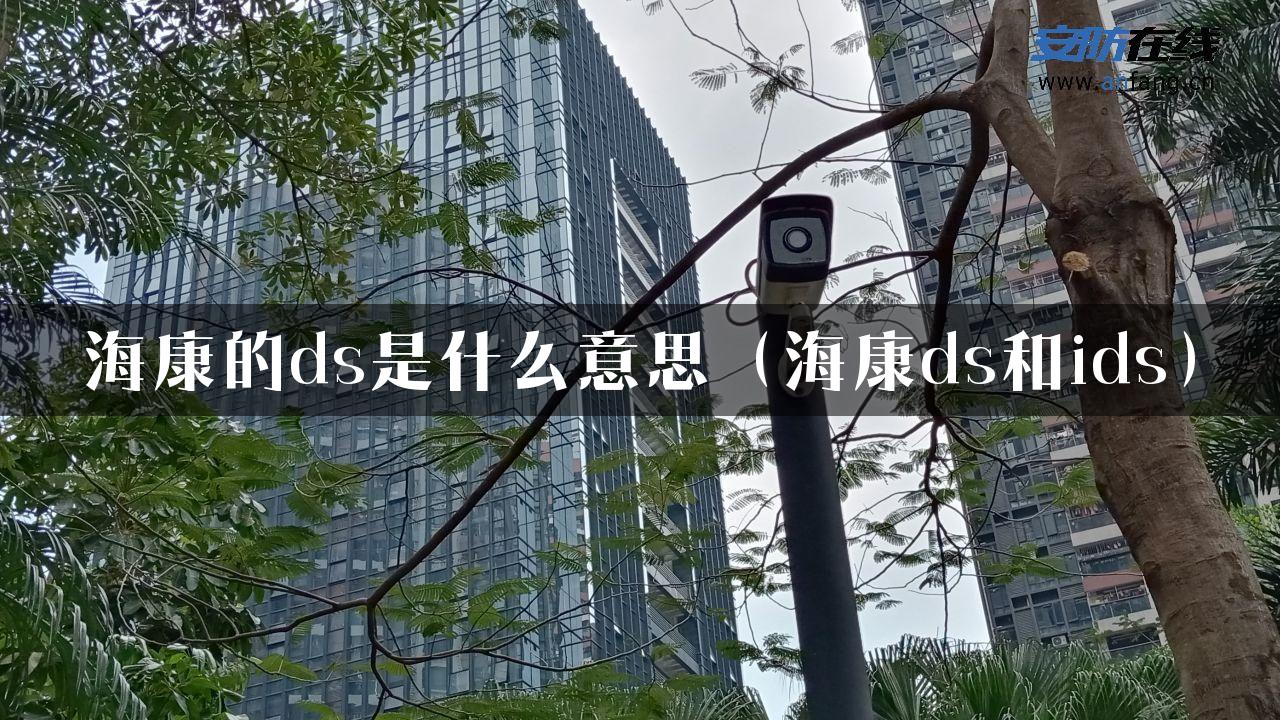 海康的ds是什么意思（海康ds和ids）