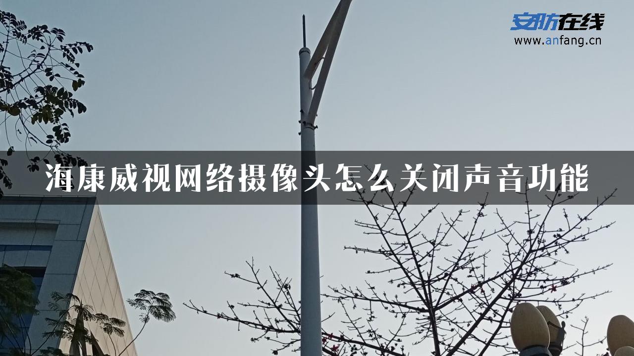 海康威视网络摄像头怎么关闭声音功能