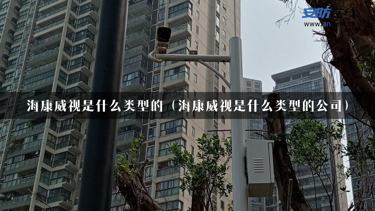 海康威视是什么类型的（海康威视是什么类型的公司）