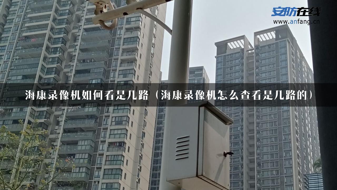 海康录像机如何看是几路（海康录像机怎么查看是几路的）