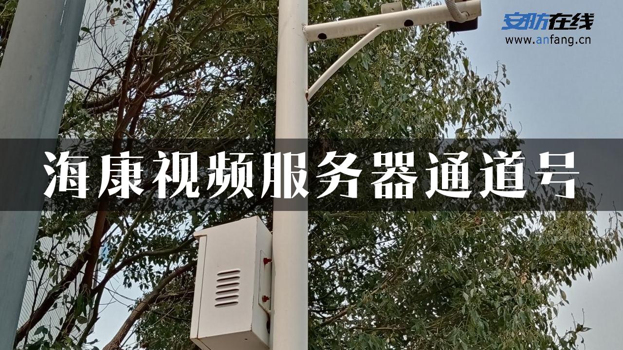 海康视频服务器通道号