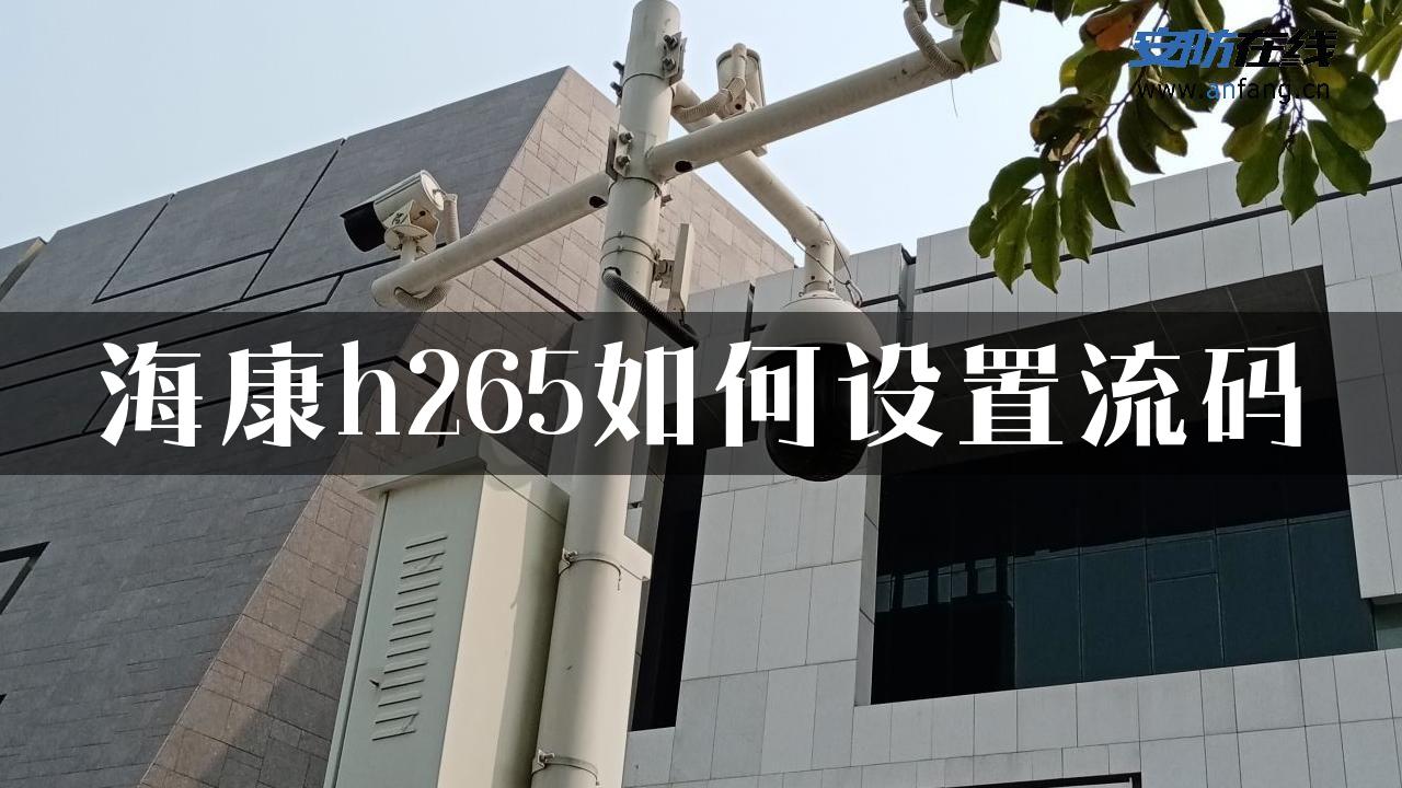 海康h265如何设置流码