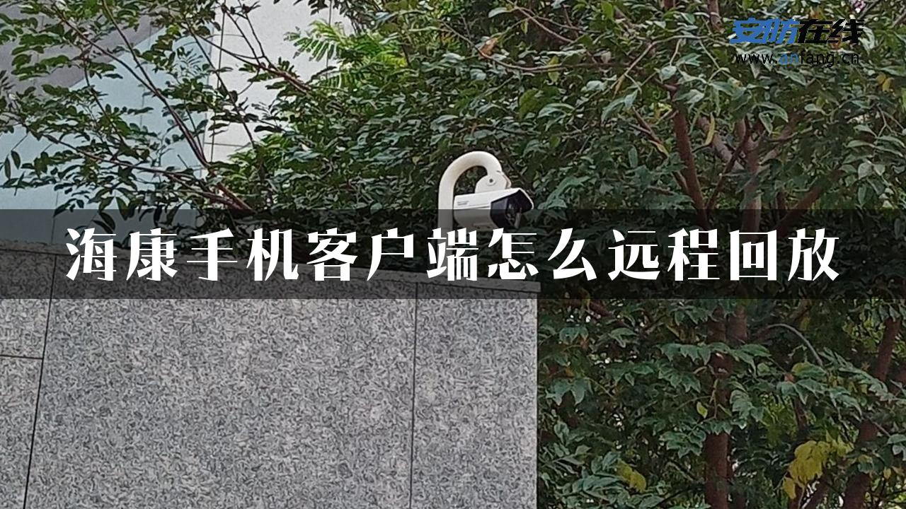 海康手机客户端怎么远程回放