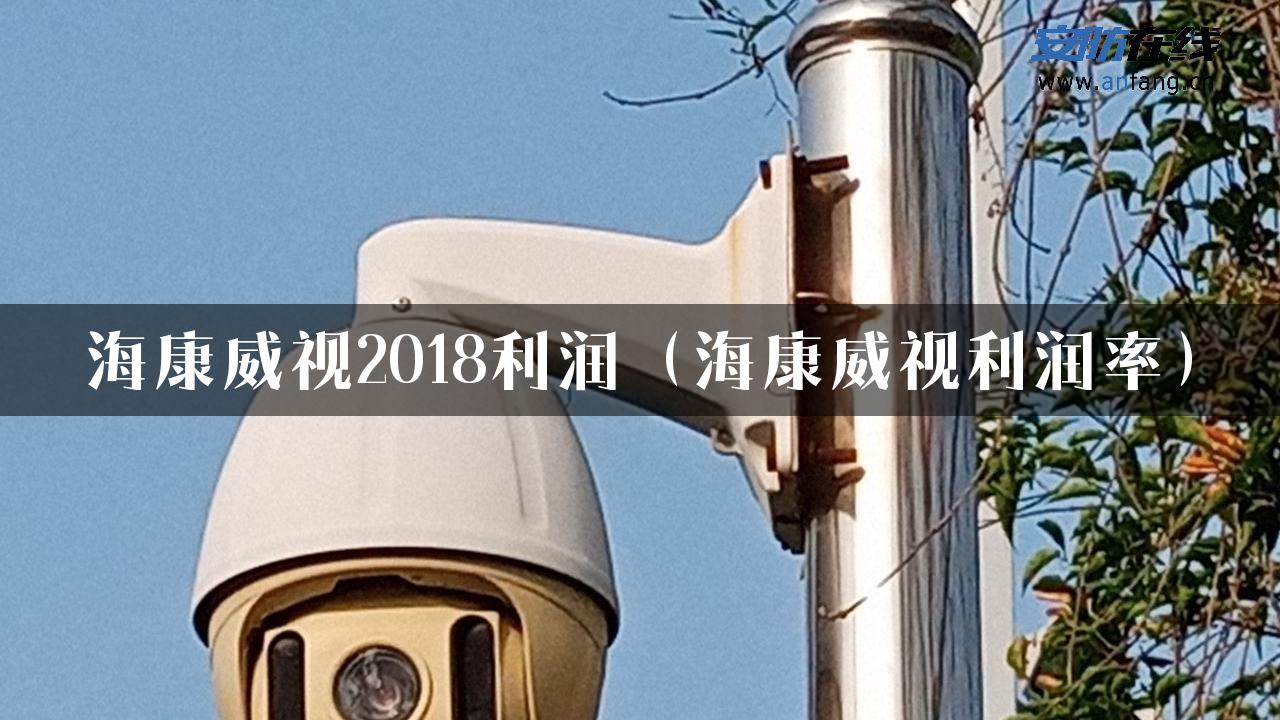 海康威视2018利润（海康威视利润率）