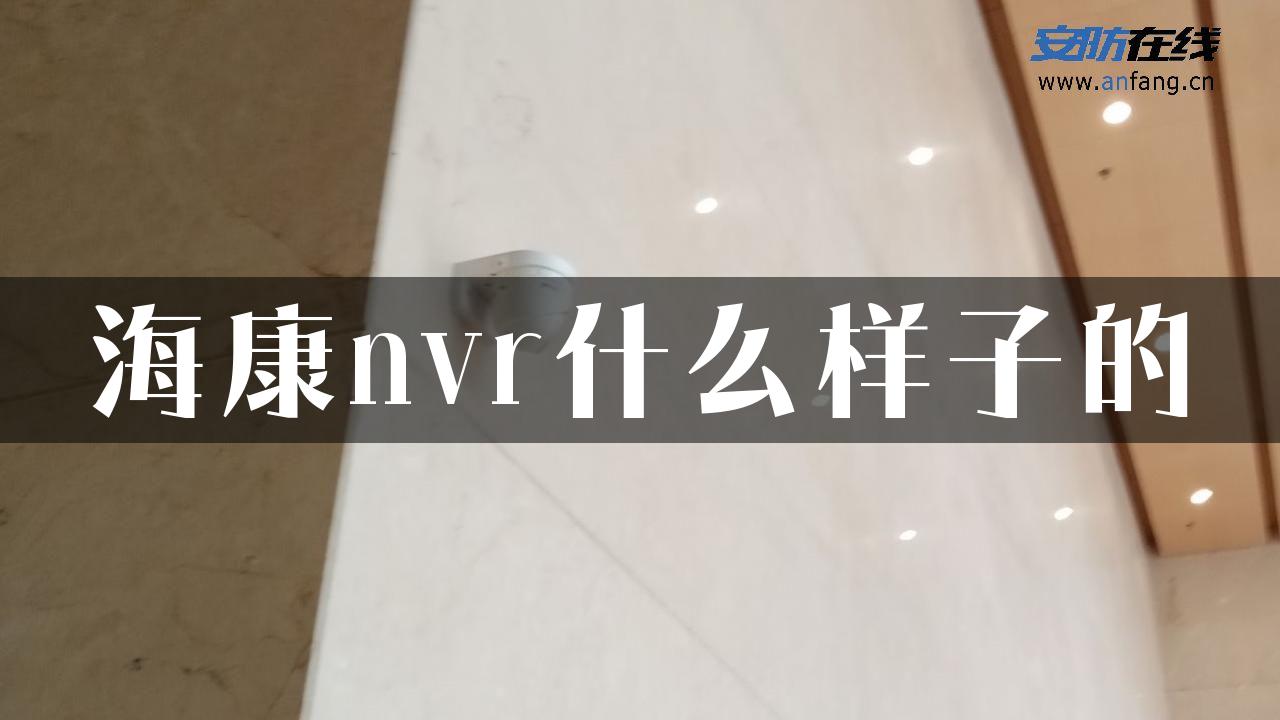 海康nvr什么样子的