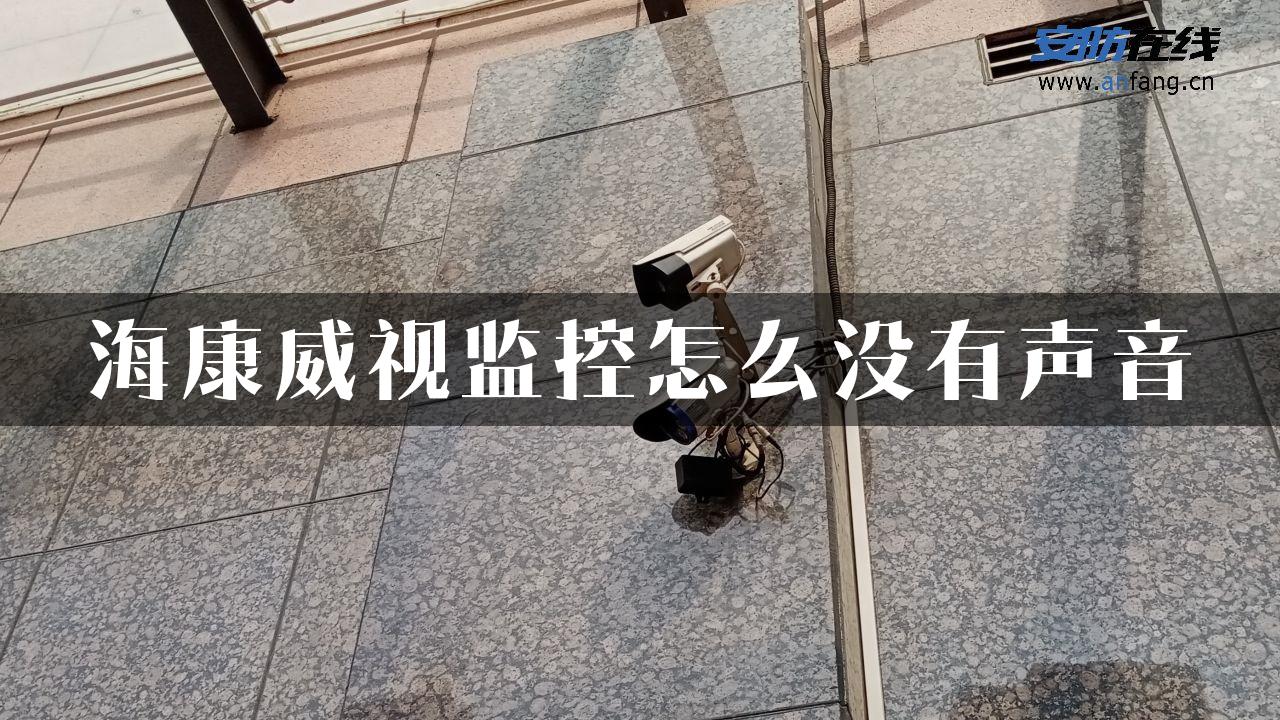 海康威视监控怎么没有声音