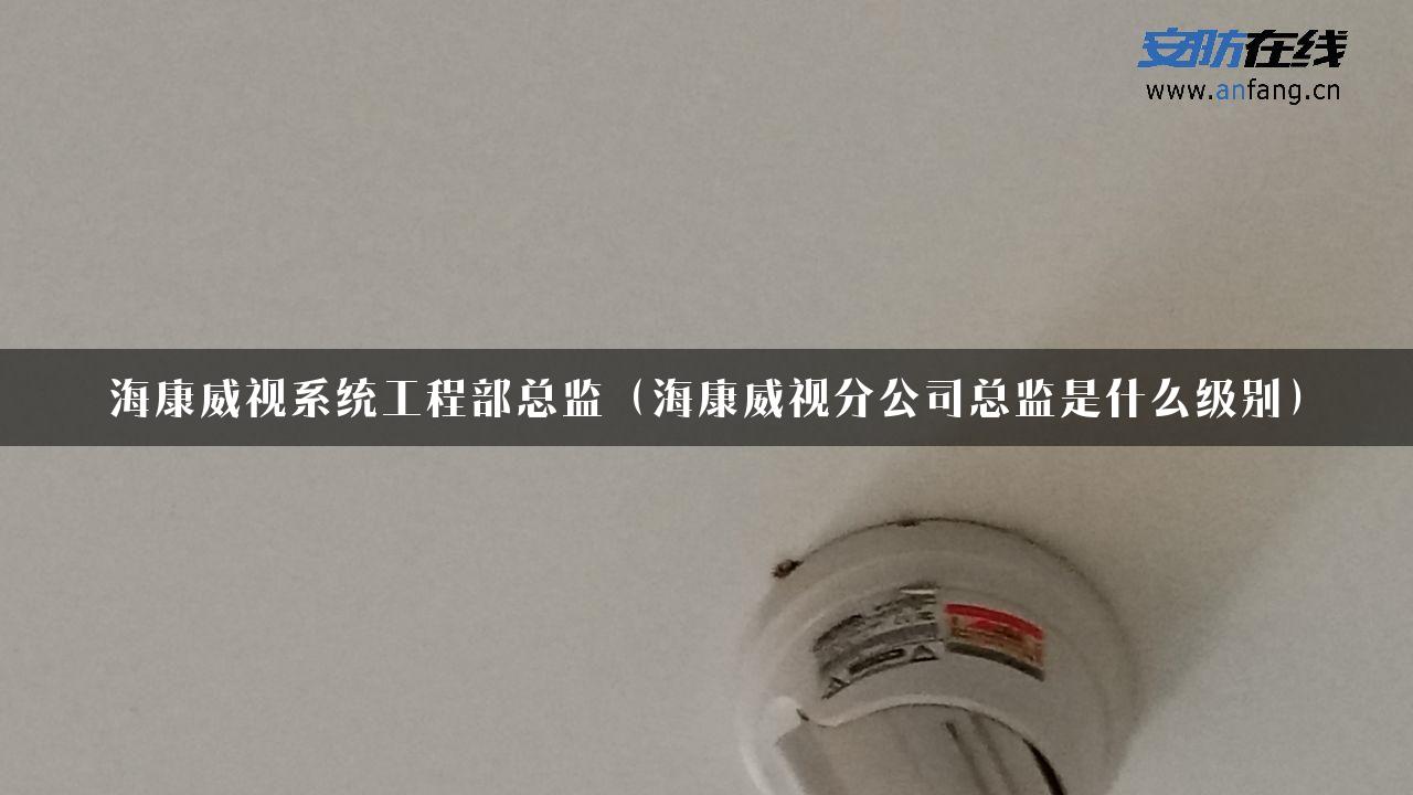 海康威视系统工程部总监（海康威视分公司总监是什么级别）