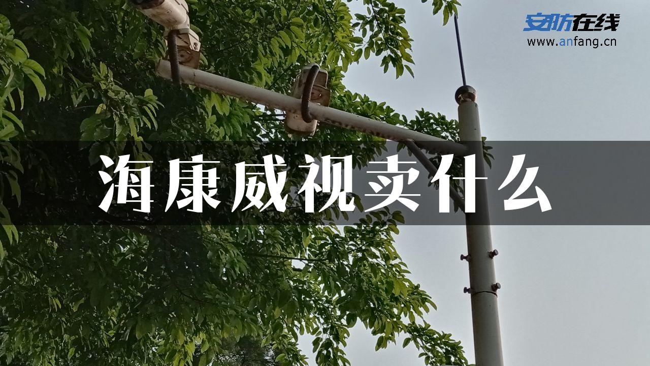 海康威视卖什么