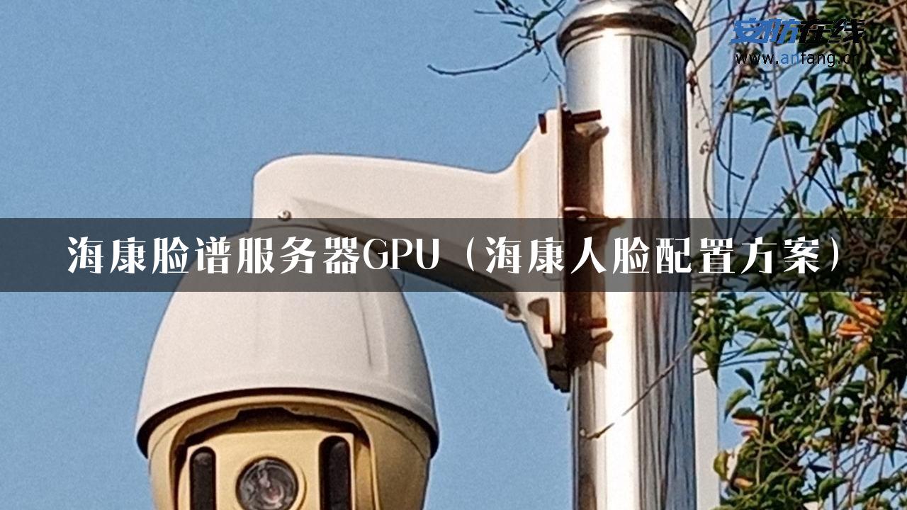 海康脸谱服务器GPU（海康人脸配置方案）