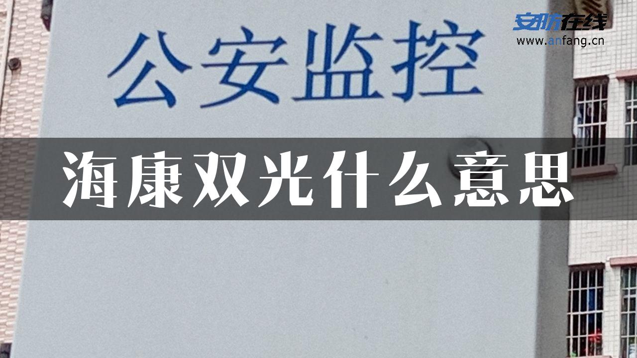 海康双光什么意思