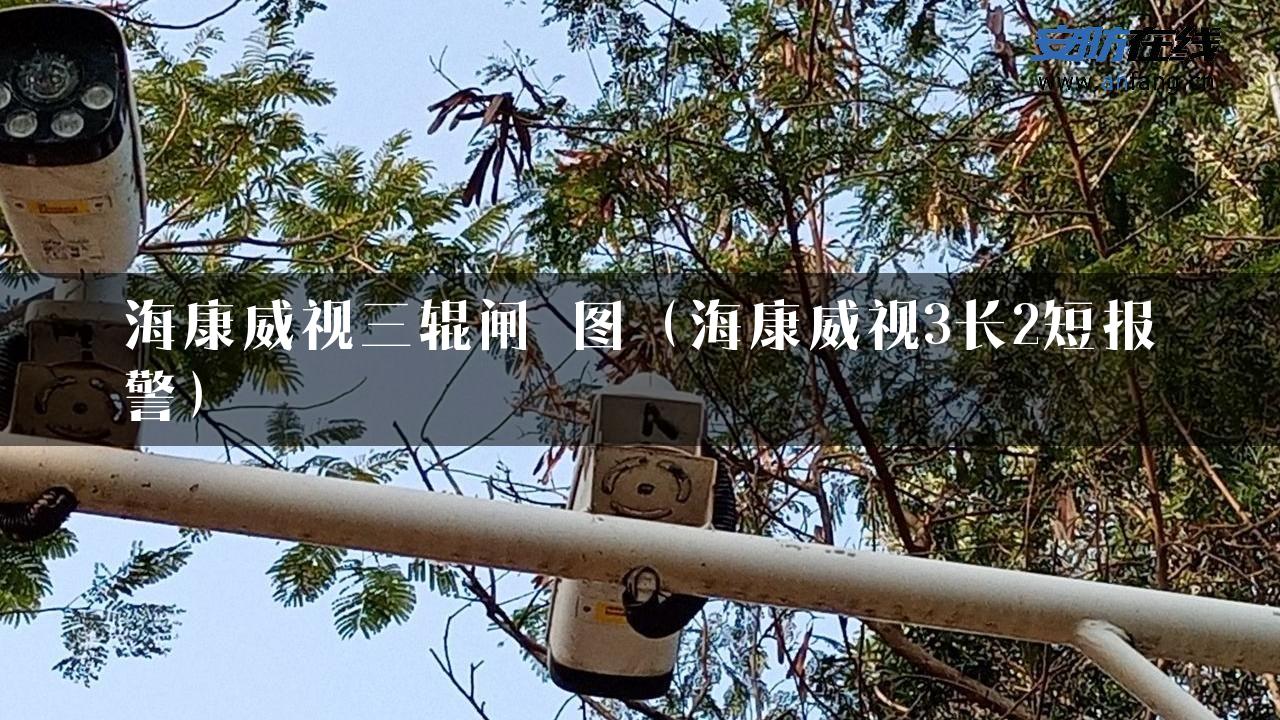 海康威视三辊闸 图（海康威视3长2短报警）