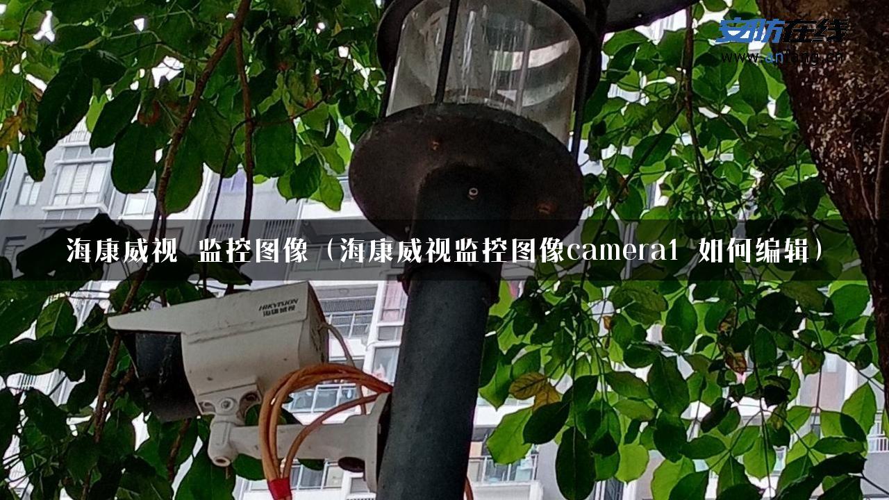 海康威视 监控图像（海康威视监控图像camera1 如何编辑）