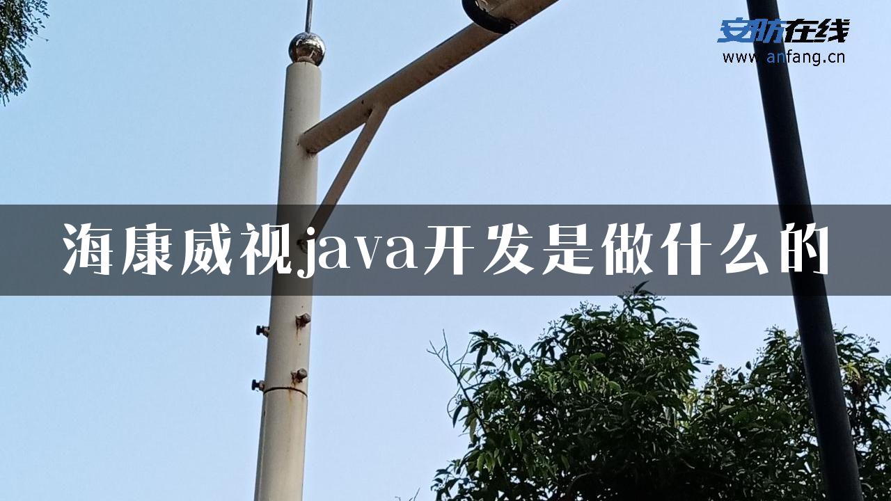 海康威视java开发是做什么的