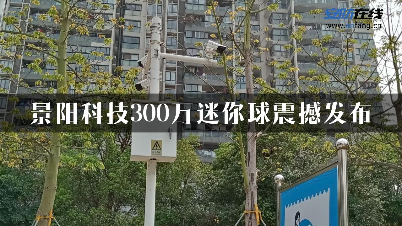 景阳科技300万迷你球震撼发布