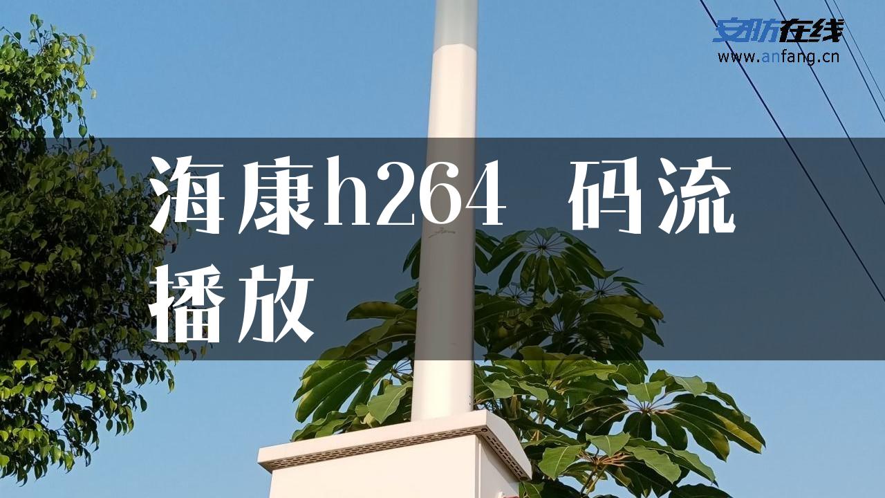 海康h264 码流播放