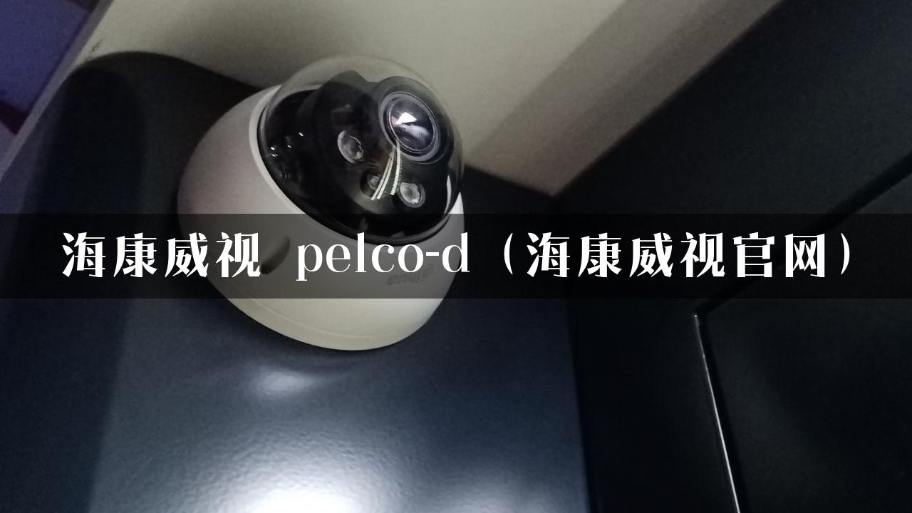 海康威视 pelco-d（海康威视官网）