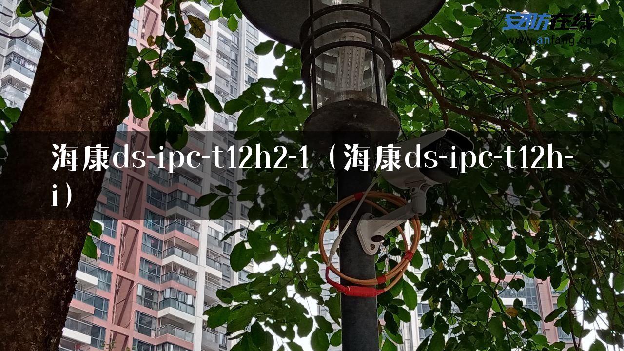 海康ds-ipc-t12h2-1（海康ds-ipc-t12h-i）