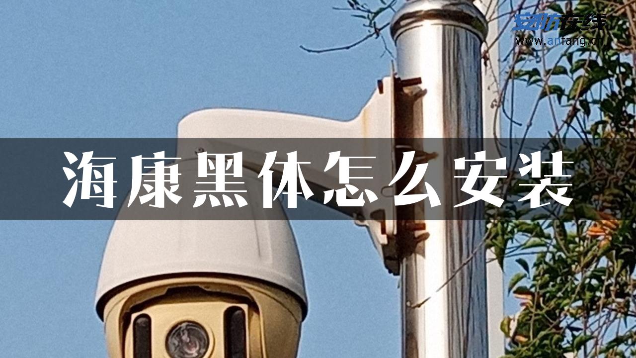 海康黑体怎么安装