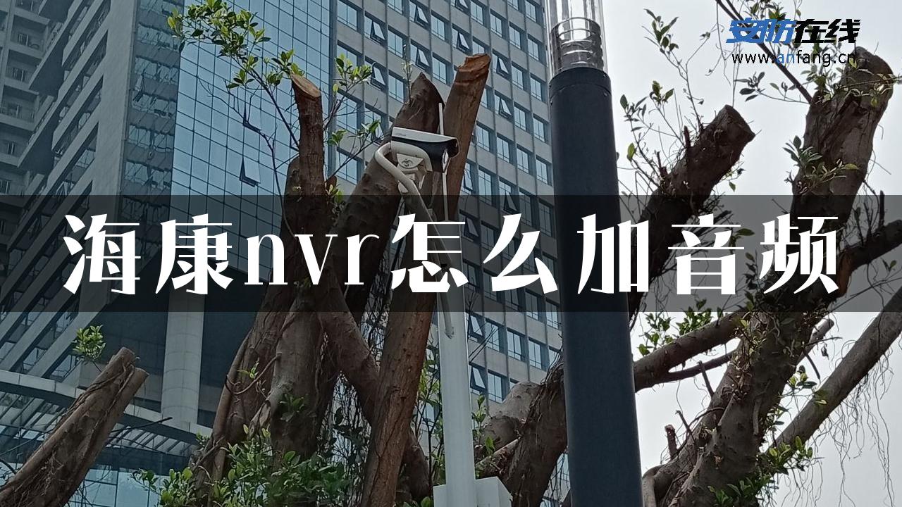 海康nvr怎么加音频