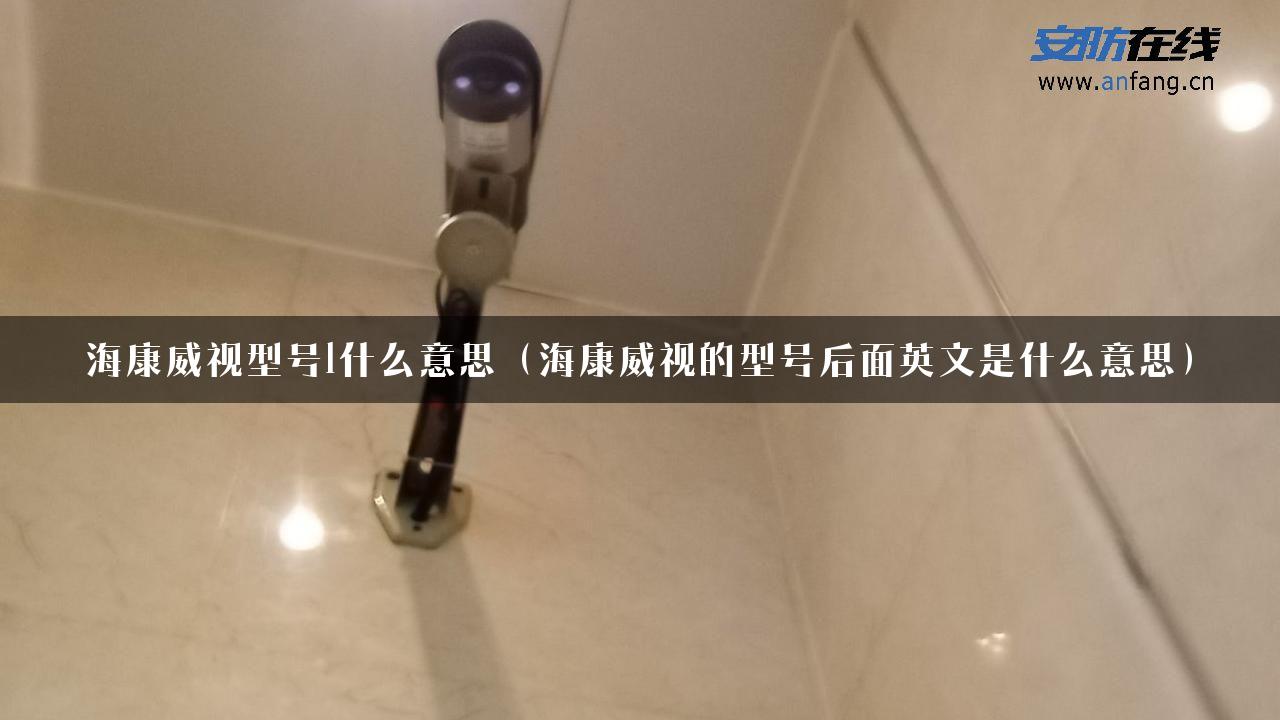 海康威视型号l什么意思（海康威视的型号后面英文是什么意思）