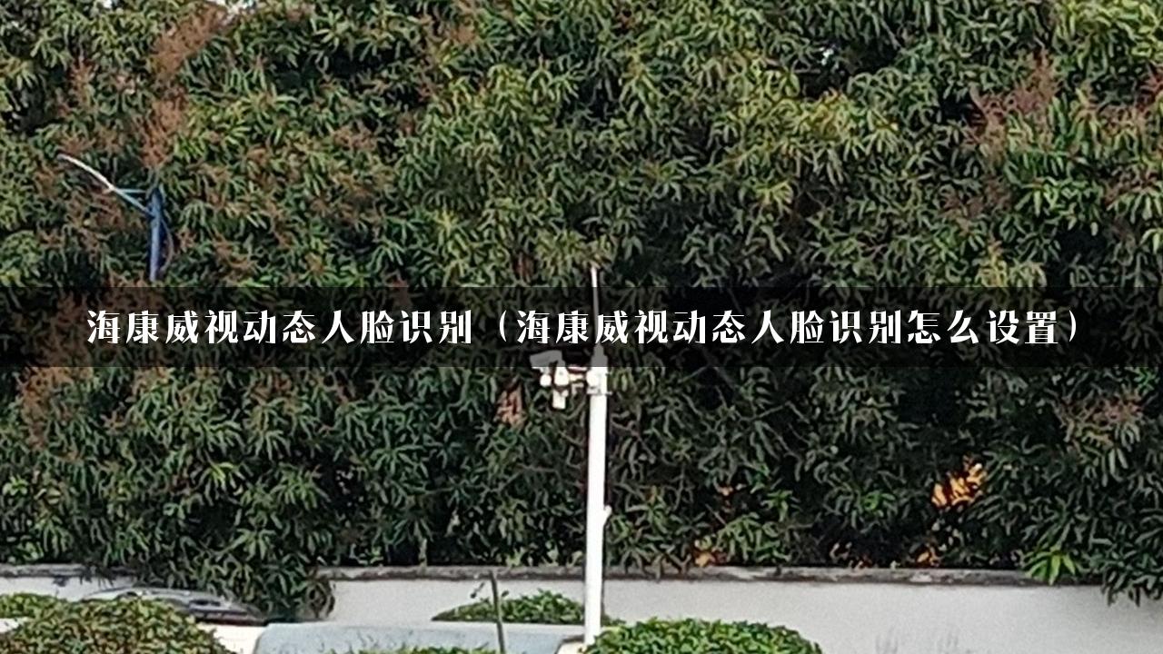 海康威视动态人脸识别（海康威视动态人脸识别怎么设置）